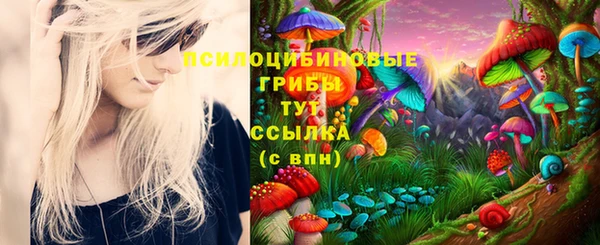 дмт Волоколамск