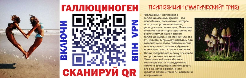 Купить закладки  Карабулак  Галлюциногенные грибы Magic Shrooms 